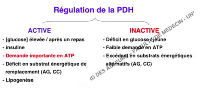 Capture d’écran 2015-11-08 à 19.44.22.png