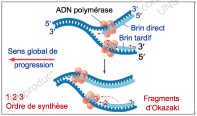 Capture d’écran 2015-11-10 à 11.09.37.png