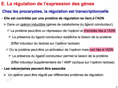 Capture d’écran 2015-11-10 à 12.08.25.png