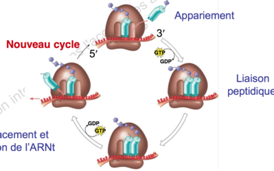 Capture d’écran 2015-11-10 à 21.50.04.png