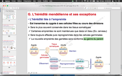 Capture d’écran 2015-11-10 à 22.55.01.png