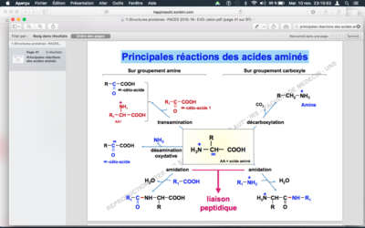 Capture d’écran 2015-11-10 à 23.15.51.png