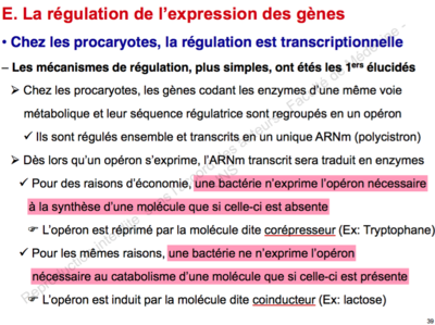 Capture d’écran 2015-11-10 à 13.13.21.png