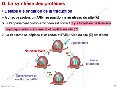 Capture d’écran 2015-11-11 à 11.51.43.png