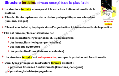 Capture d’écran 2015-11-12 à 13.04.39.png
