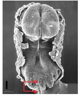 Capture d’écran 2015-11-13 à 07.56.44.png