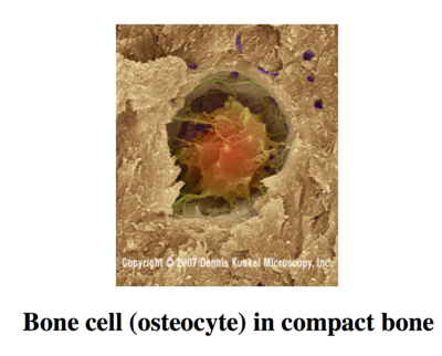 Capture d’écran 2015-11-13 à 14.56.29.png