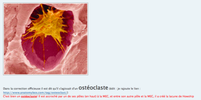 Capture d’écran 2015-11-14 à 15.16.33.png