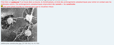 Capture d’écran 2015-11-14 à 15.16.43.png