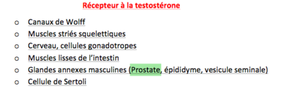 Capture d’écran 2015-11-15 à 08.30.52.png
