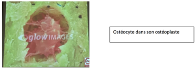 Capture d’écran 2015-11-15 à 21.30.11.png