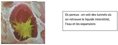 Capture d’écran 2015-11-15 à 21.30.26.png