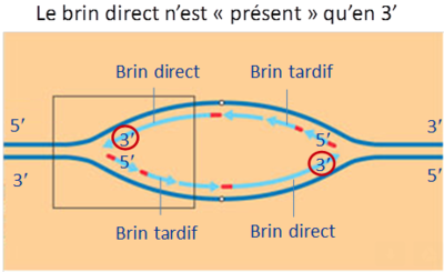 Capture d’écran 2015-11-16 à 17.56.35.png