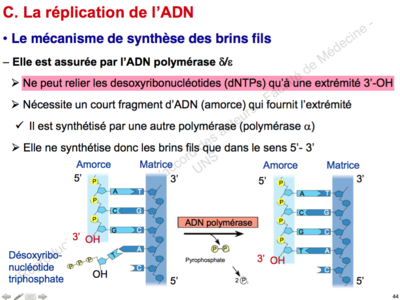 Capture d’écran 2015-11-16 à 18.13.12.png