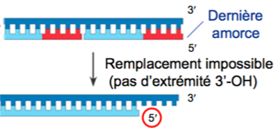 Capture d’écran 2015-11-16 à 18.28.59.png