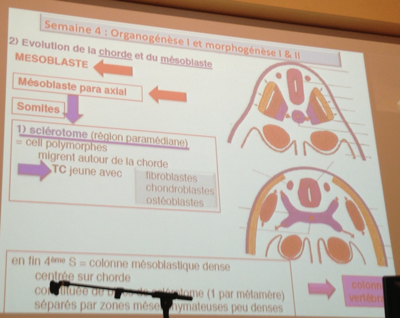 Capture d’écran 2015-11-17 à 22.04.06.png