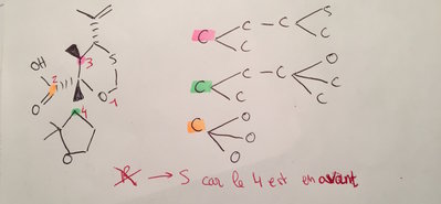 FullSizeRender 2.jpg