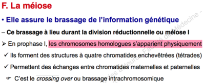 Capture d’écran 2015-11-22 à 20.12.47.png