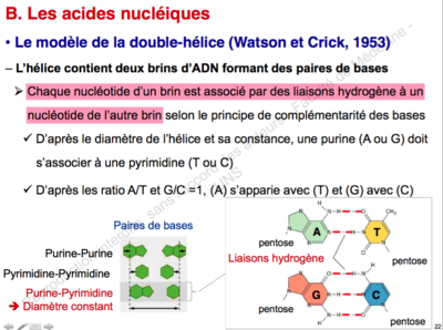 Capture d’écran 2015-11-22 à 20.17.47.png