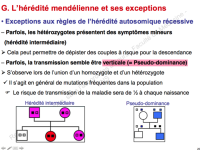 Capture d’écran 2015-11-22 à 20.21.03.png