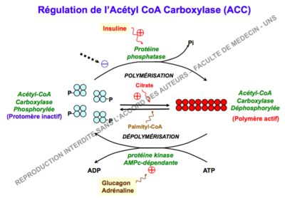 Capture d’écran 2015-11-24 à 15.14.07.png