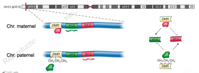 Capture d’écran 2015-11-24 à 16.00.13.png