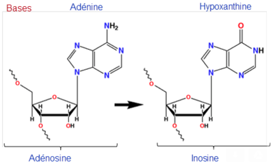 Capture d’écran 2015-11-24 à 16.18.40.png