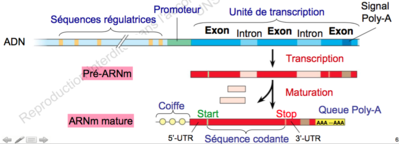 Capture d’écran 2015-11-24 à 16.38.50.png