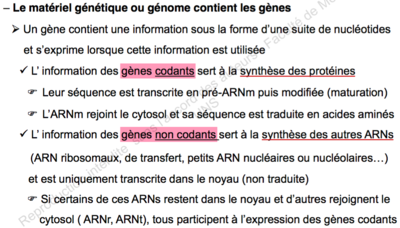 Capture d’écran 2015-11-24 à 17.04.09.png