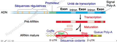 Capture d’écran 2015-11-24 à 17.14.14.png