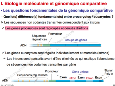Capture d’écran 2015-11-24 à 18.38.38.png