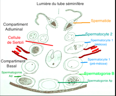 Capture d’écran 2015-11-24 à 22.13.51.png