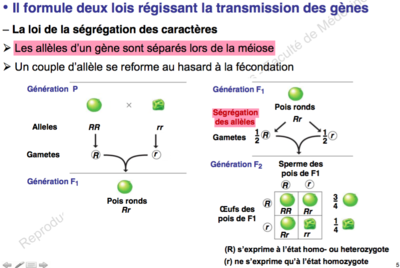 Capture d’écran 2015-11-26 à 13.28.08.png