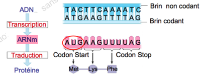 Capture d’écran 2015-11-27 à 21.31.31.png
