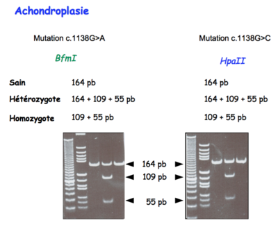 Capture d’écran 2015-11-27 à 22.14.20.png