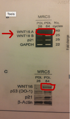 Capture d’écran 2015-11-28 à 19.35.34.png