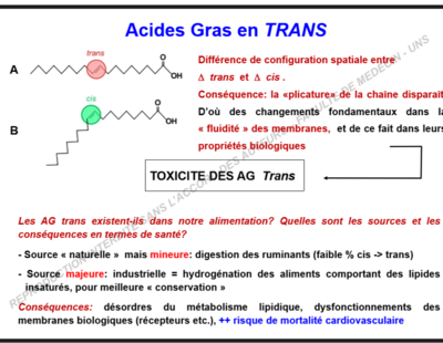 Capture d’écran (444).png