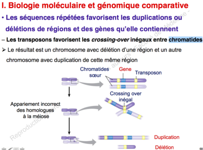 biomol.png (322.93 Kio) Vu 616 fois biomol.png