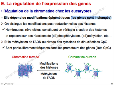 Capture d’écran 2015-11-30 à 14.00.12.png