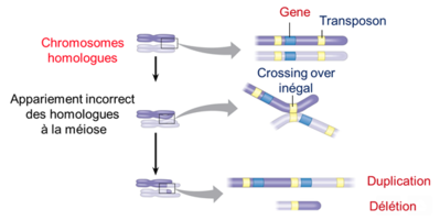 Capture d’écran 2015-12-02 à 12.33.08.png