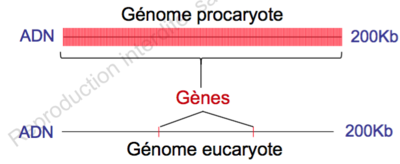 Capture d’écran 2015-12-05 à 14.44.40.png