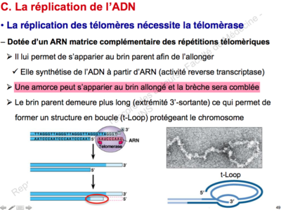 Capture d’écran 2015-12-05 à 15.30.02.png