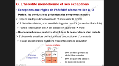 Capture d’écran (39).png