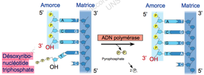 Capture d’écran 2015-12-07 à 18.37.29.png