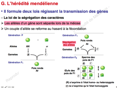 Capture d’écran 2015-12-09 à 22.07.18.png