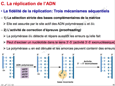 Capture d’écran 2015-12-09 à 22.10.48.png