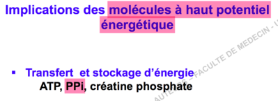 Capture d’écran 2015-12-11 à 11.16.11.png
