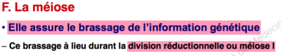 Capture d’écran 2015-12-11 à 20.48.26.png