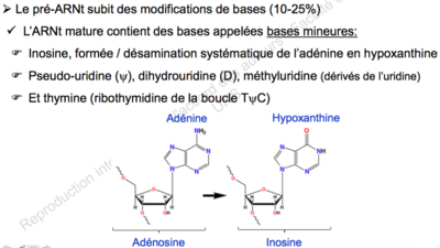 Capture d’écran 2015-12-14 à 14.29.40.png