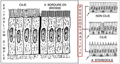 Capture d’écran 2015-12-16 à 19.18.16.png
